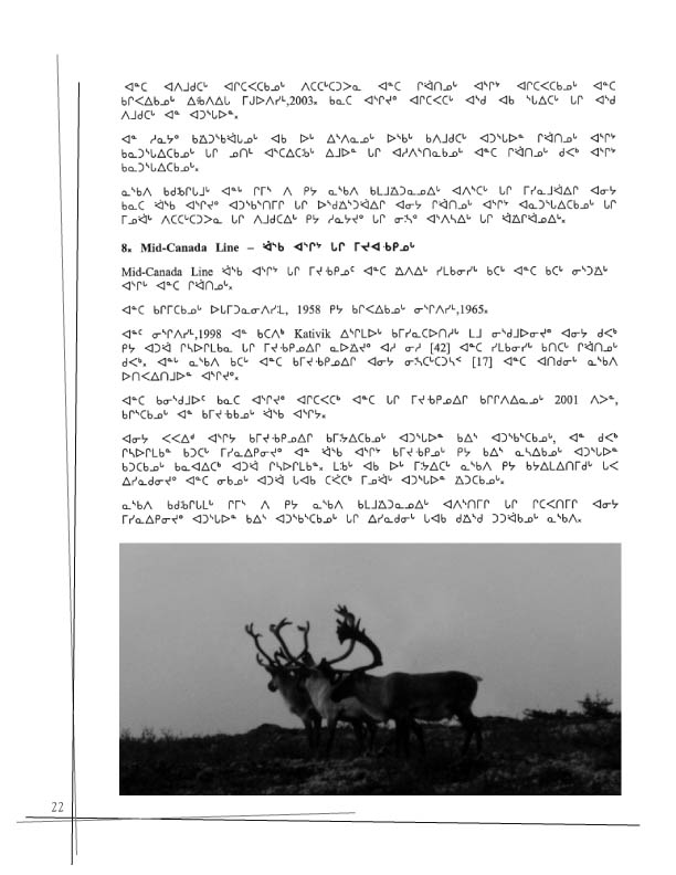 11362 CNC Annual Report 2002 Naskapi - page 22